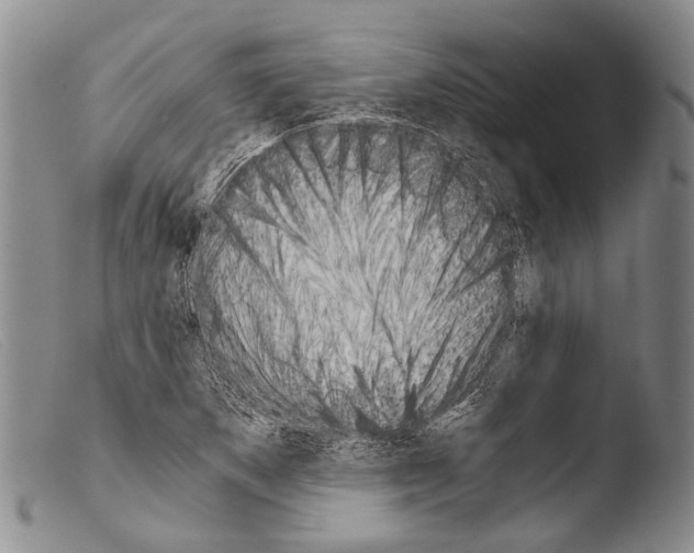 X0000103961265200810311606