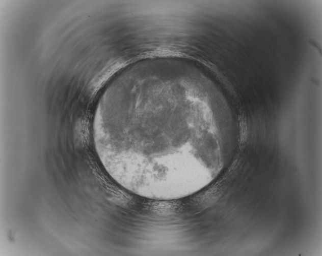 X0000103961266200810311606