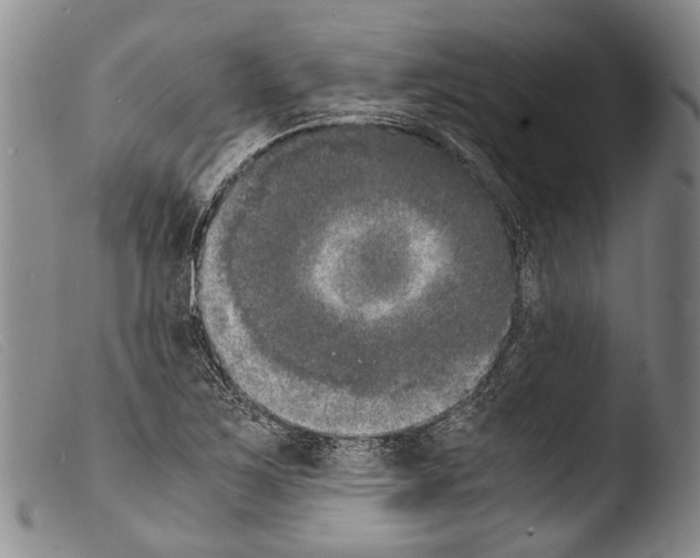 X0000103961267200810311606