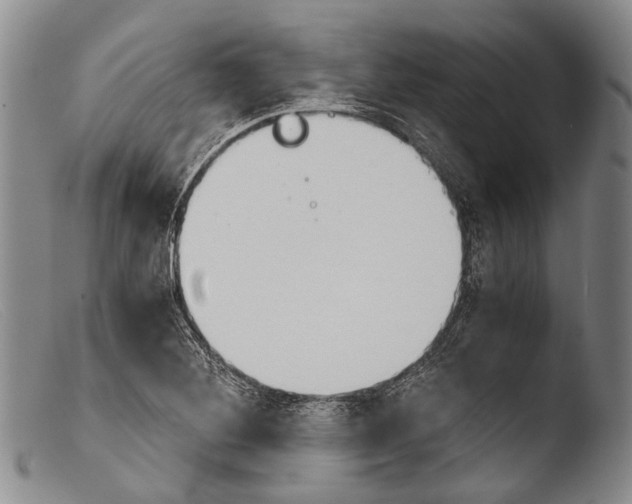 X0000103961268200810311606