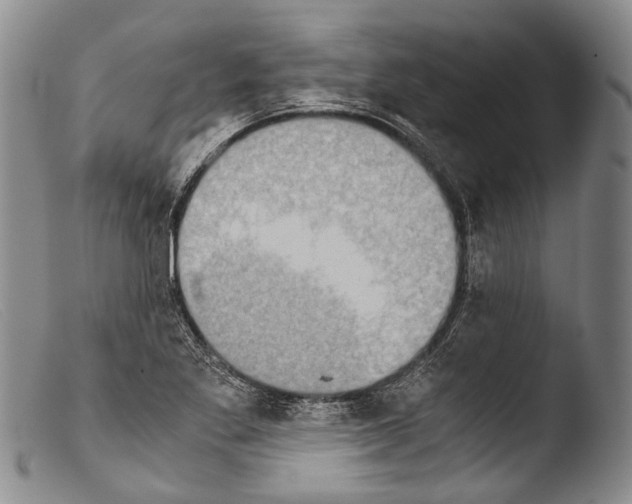 X0000103961269200810311606