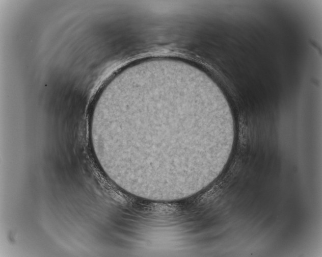 X0000103961270200810311606
