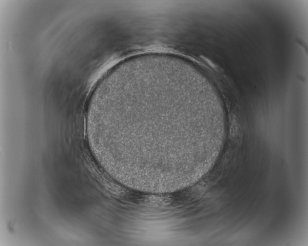 X0000103961271200810311606
