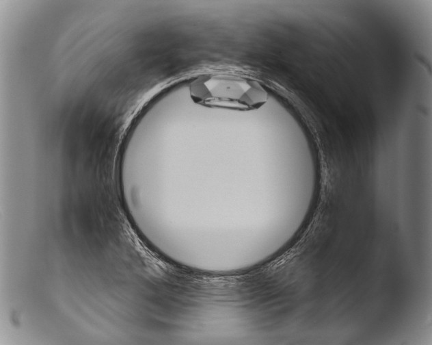X0000103961272200810311606