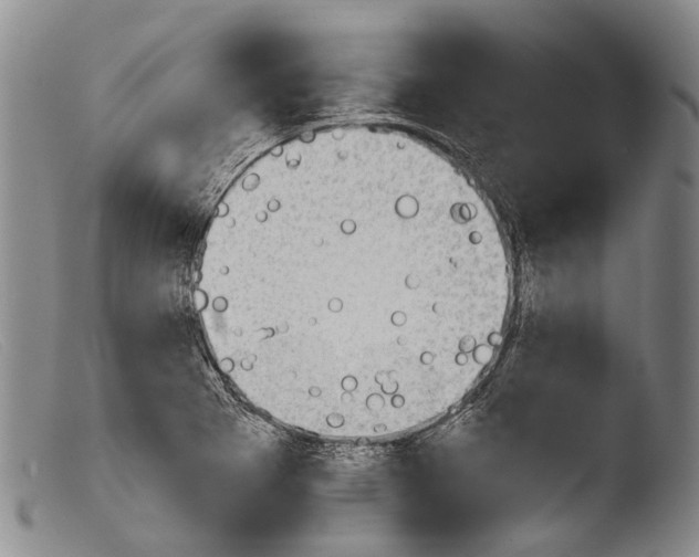 X0000103961273200810311606