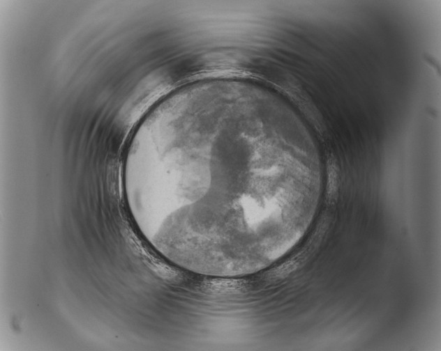 X0000103961274200810311606