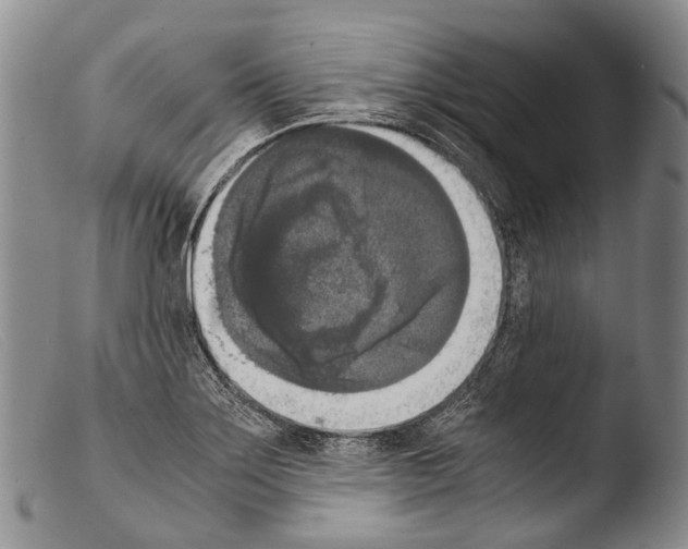 X0000103961275200810311606