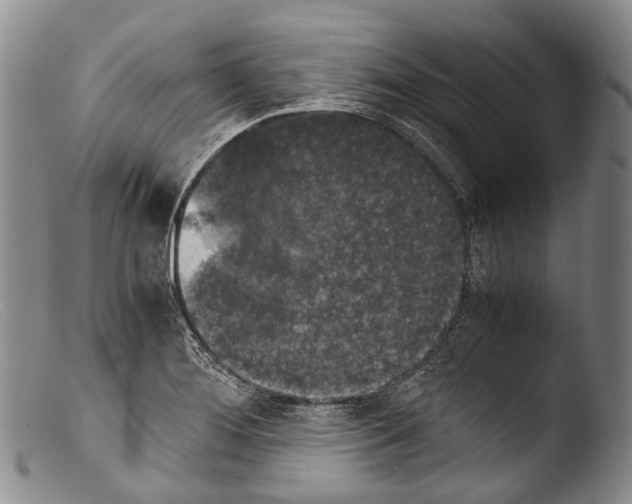 X0000103961276200810311605
