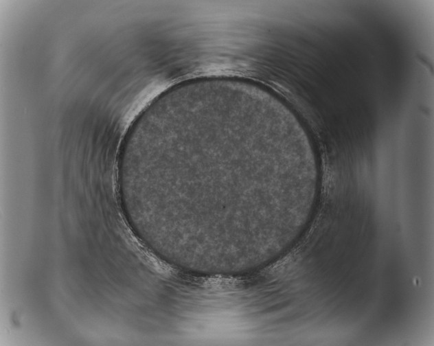 X0000103961277200810311605