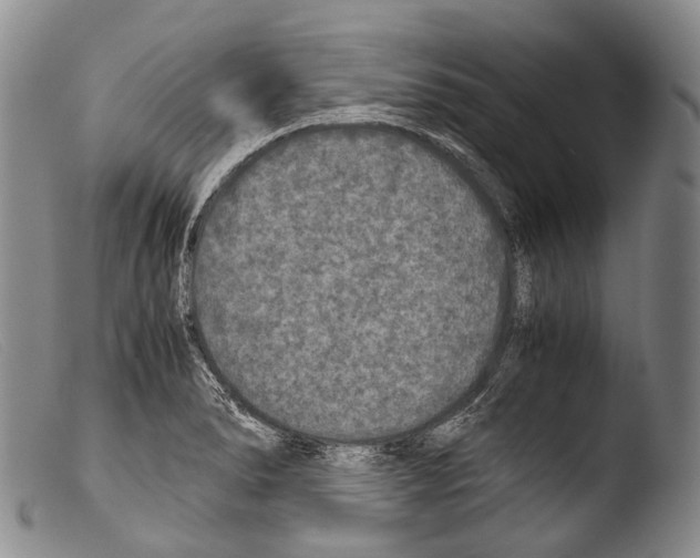 X0000103961278200810311605