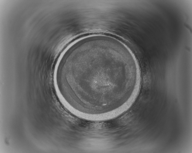 X0000103961279200810311605