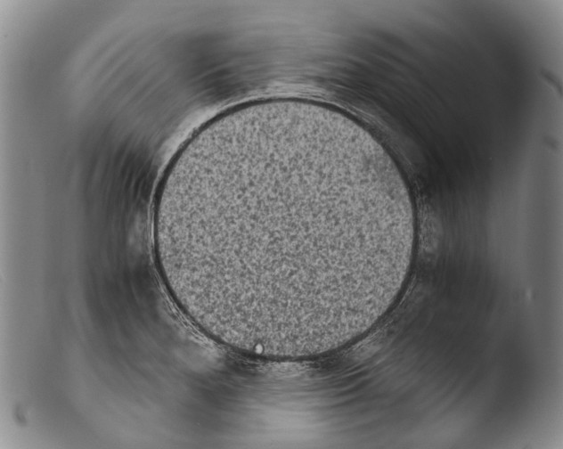 X0000103961280200810311605