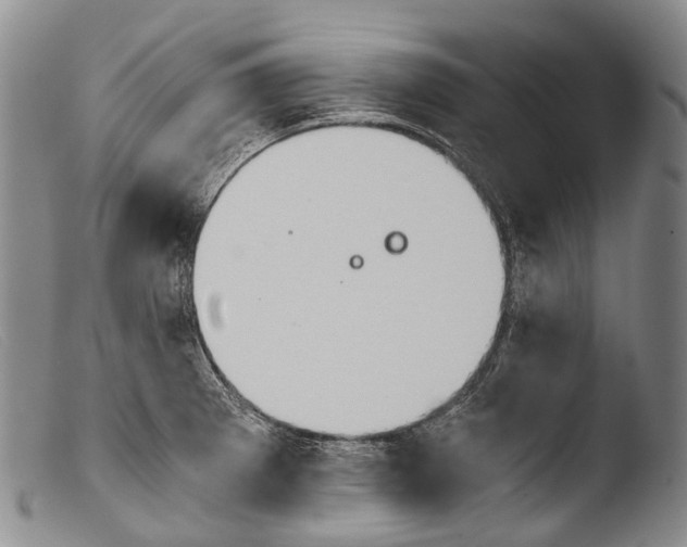 X0000103961281200810311605