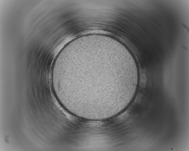 X0000103961282200810311605