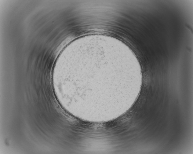 X0000103961283200810311605