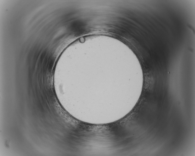 X0000103961284200810311605