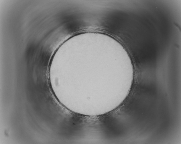 X0000103961285200810311605