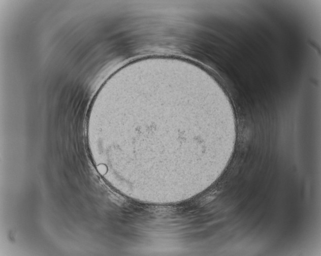 X0000103961287200810311605