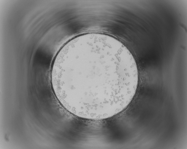 X0000103961288200810311605