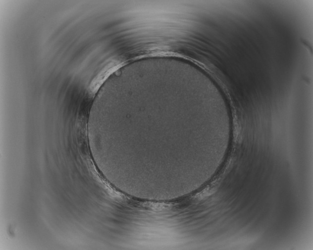 X0000103961289200810311605