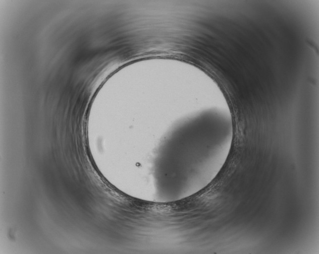 X0000103961291200810311605
