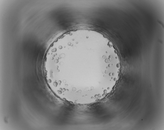 X0000103961293200810311605