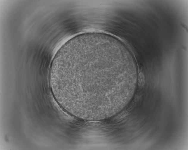 X0000103961295200810311605