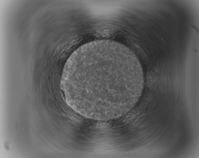 X0000103961297200810311604