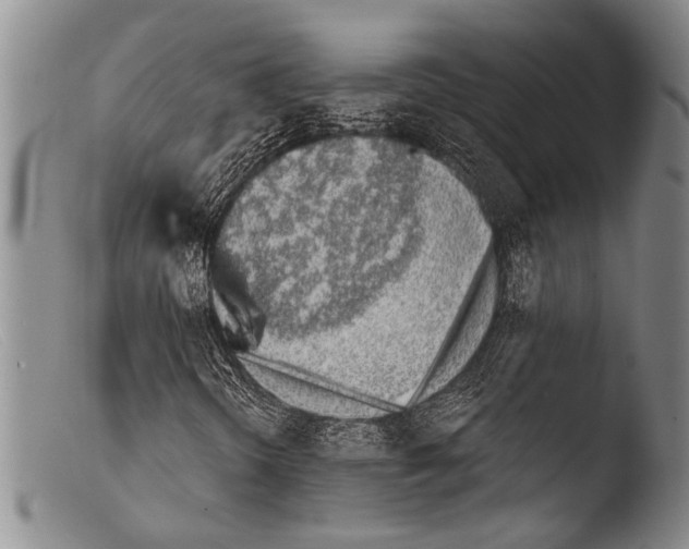 X0000103961298200810311604