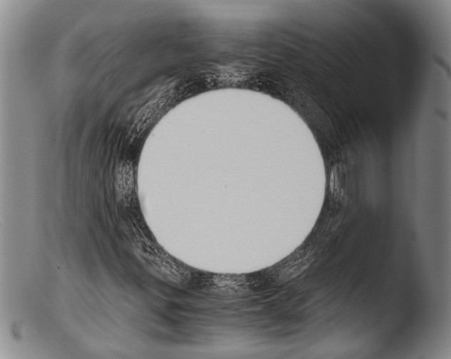 X0000103961299200810311604