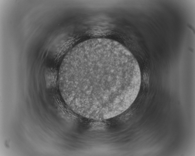 X0000103961300200810311604