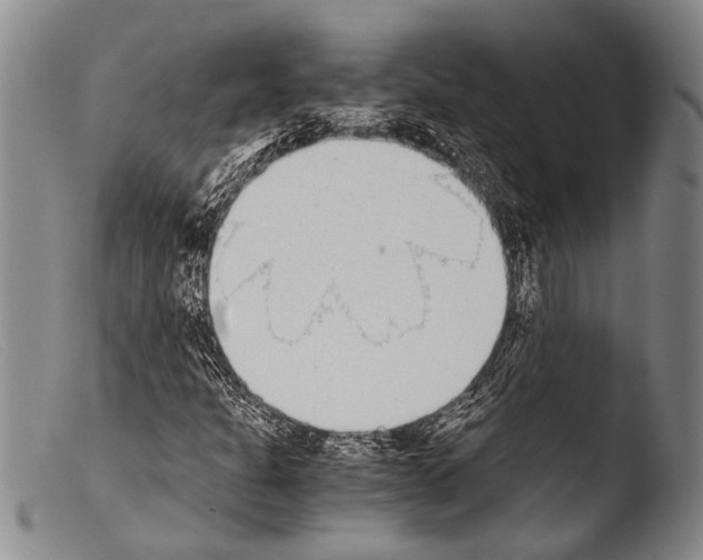 X0000103961301200810311604