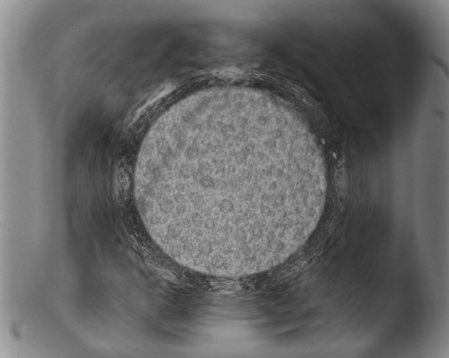 X0000103961302200810311604