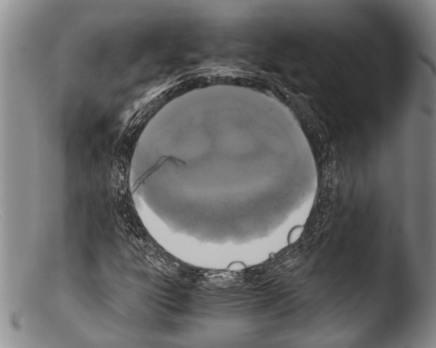 X0000103961303200810311604