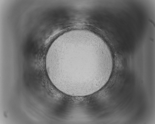X0000103961304200810311604