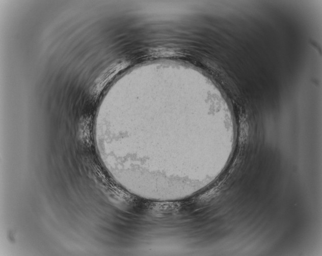 X0000103961305200810311604