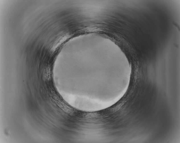 X0000103961306200810311604