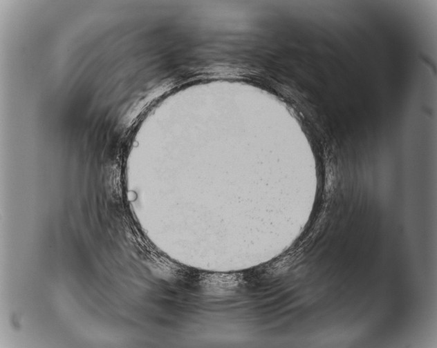 X0000103961307200810311604