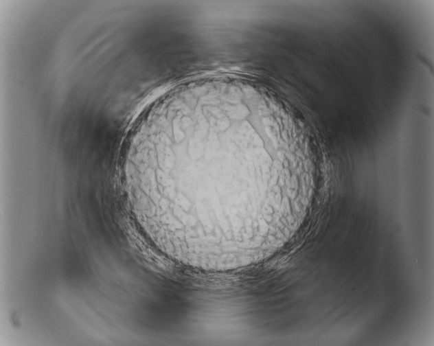 X0000103961308200810311604