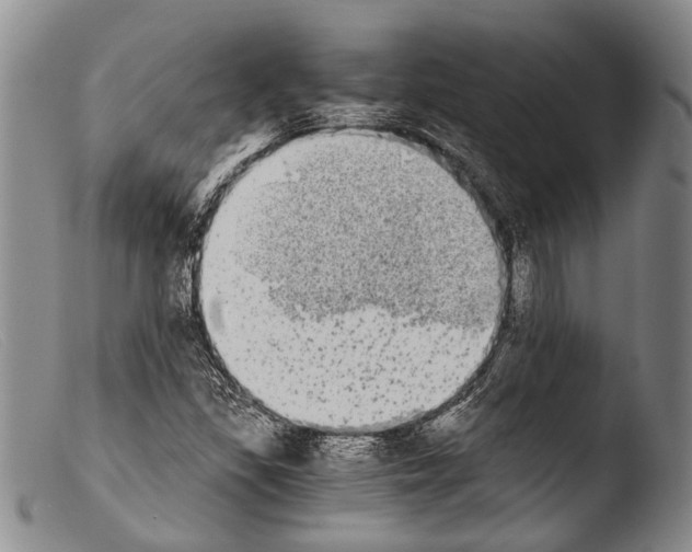 X0000103961309200810311604