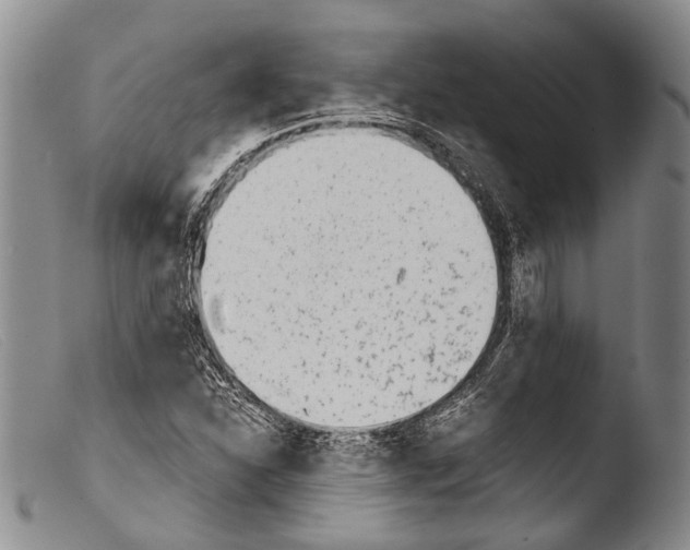 X0000103961310200810311604