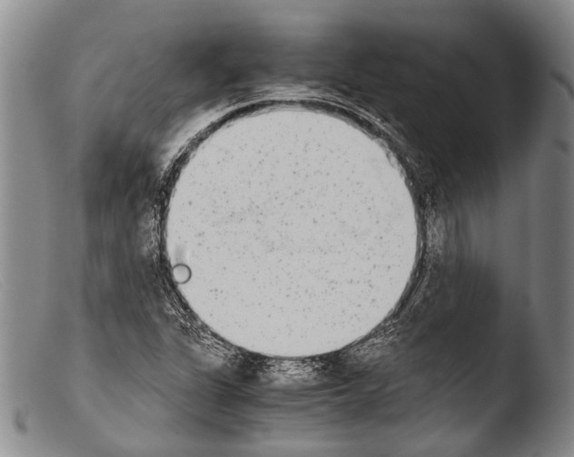 X0000103961311200810311605