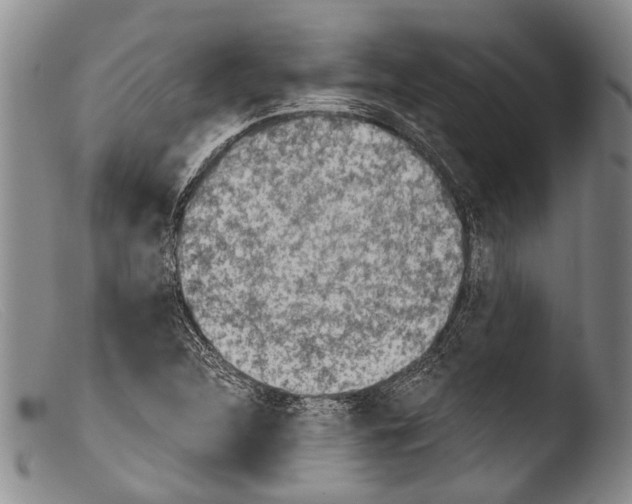 X0000103961312200810311605