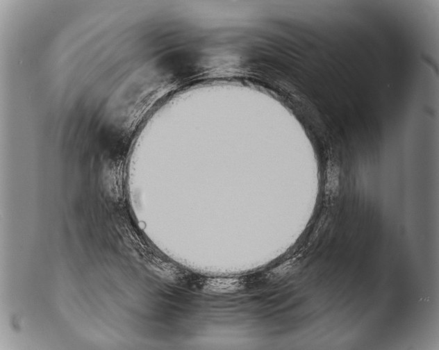 X0000103961313200810311605