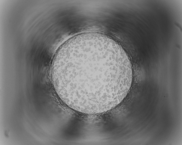 X0000103961316200810311605