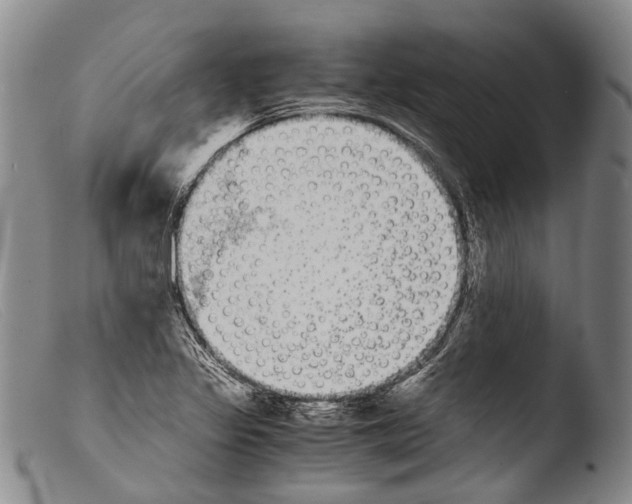 X0000103961317200810311605