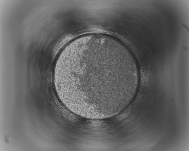 X0000103961318200810311605
