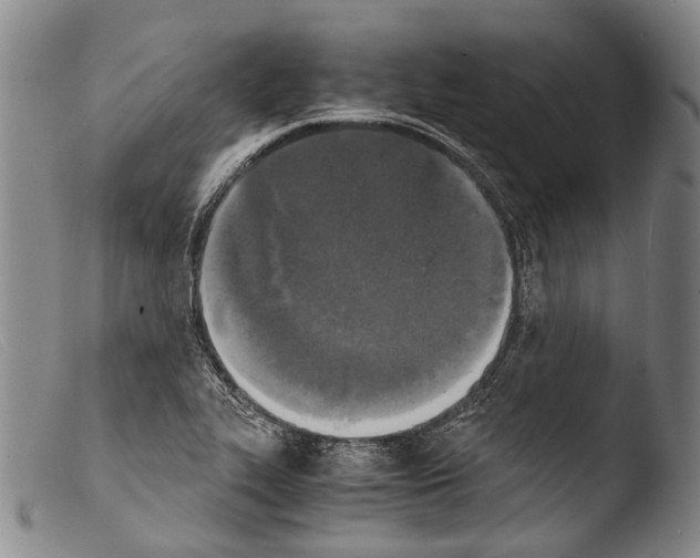 X0000103961319200810311605