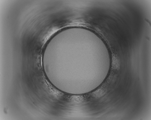 X0000103961320200810311605