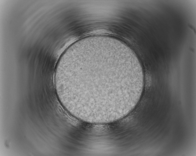 X0000103961322200810311605